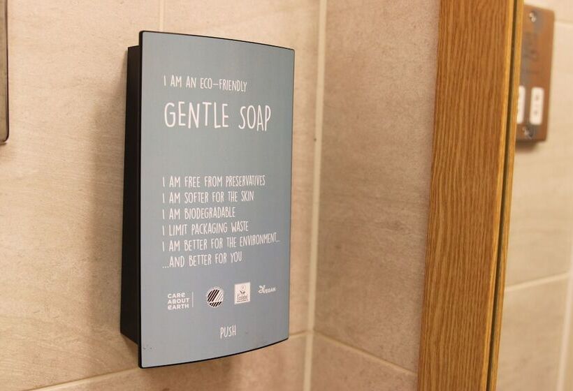 标准间, The White Swan