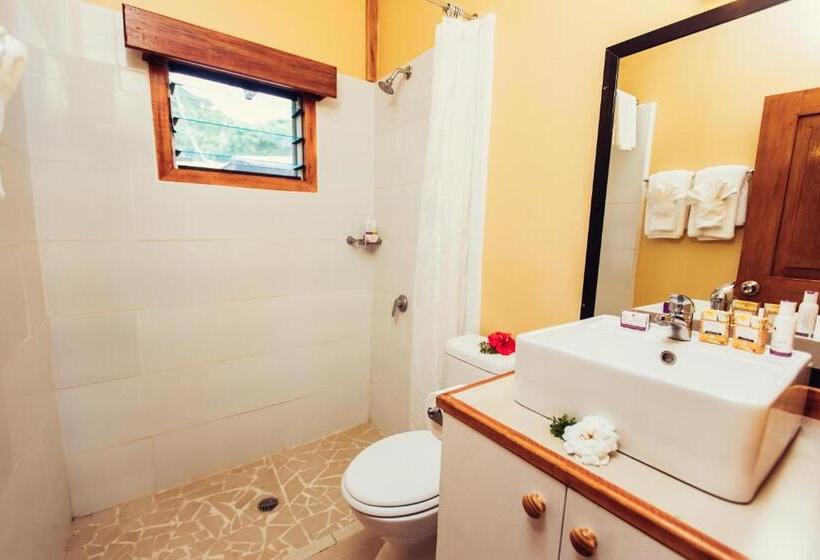 اتاق استاندارد, Koro Sun Resort & Rainforest Spa