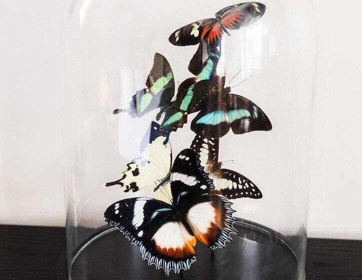 غرفة ديلوكس, Quob Park Old House Hotel & Spa