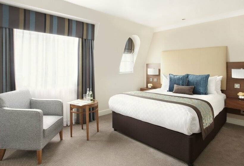 Номер Стандарт, Thistle London Piccadilly