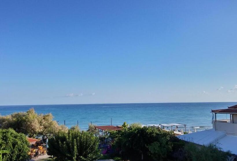 اتاق استاندارد, Anetis