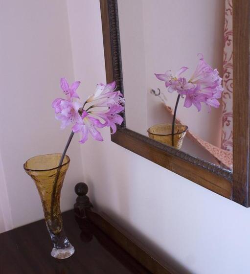 اتاق استاندارد, Anetis