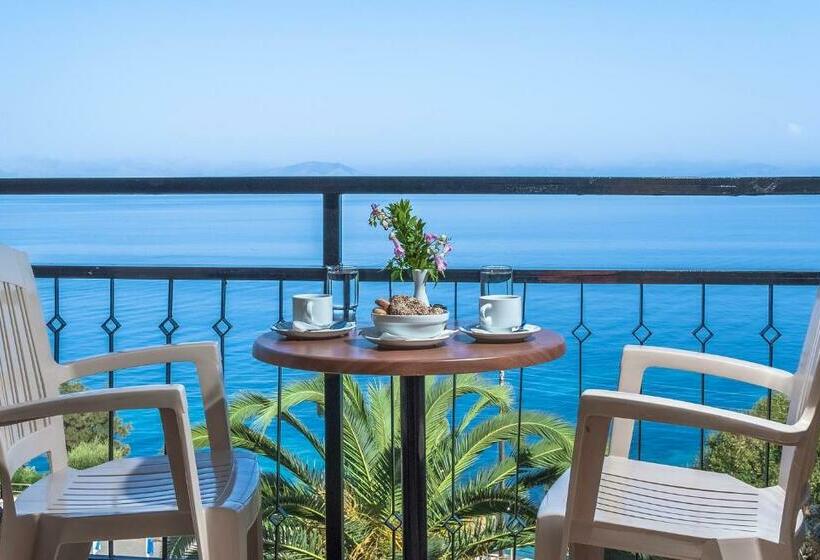 חדר קומפורט, Belvedere