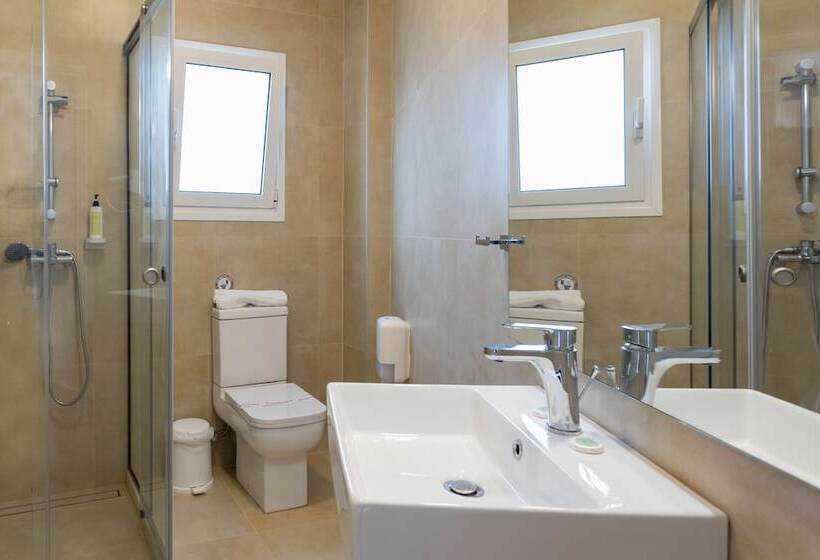 Номер Стандарт, Bretagne