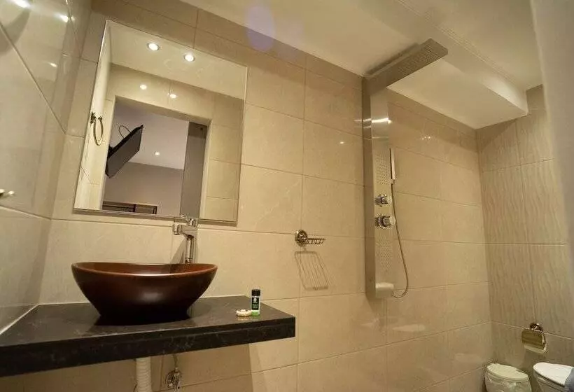 اتاق استاندارد, Parthenis Riviera