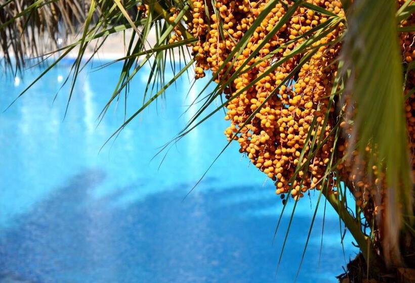 标准间带游泳池, Zephyros