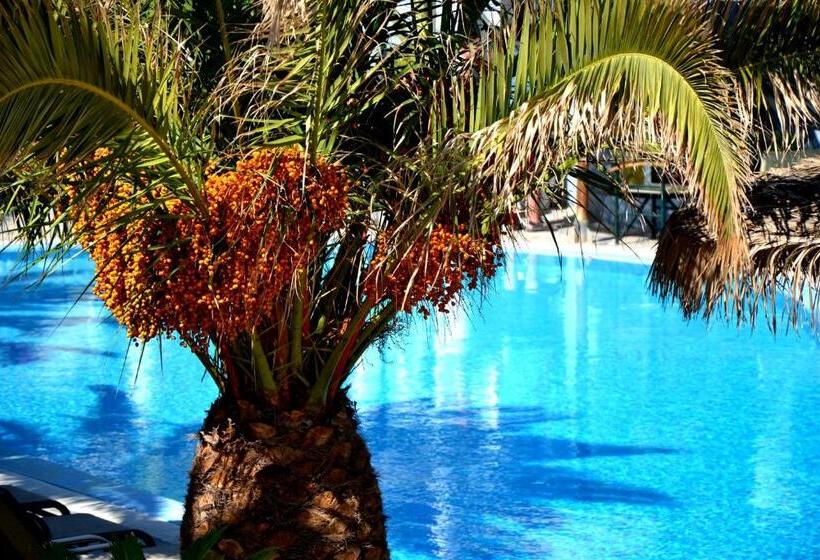 标准间带游泳池, Zephyros