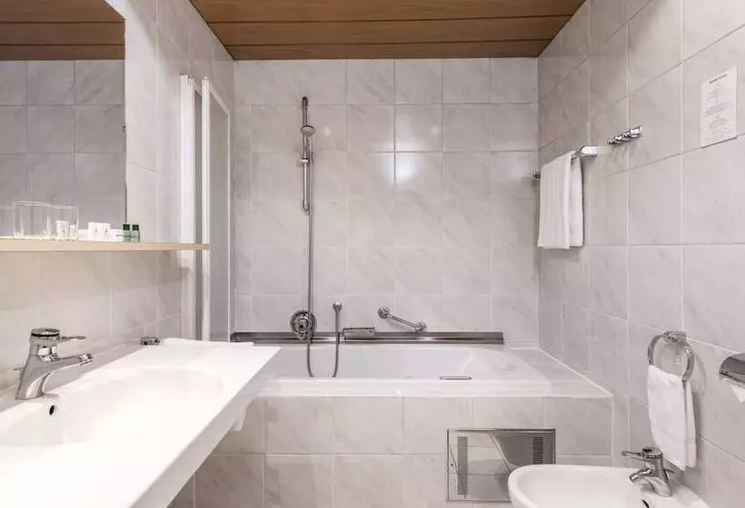 Comfort Yhden Hengen Huone, Gruner Baum