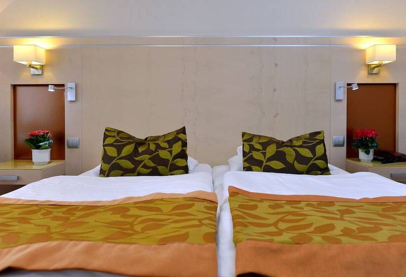 Habitació Premium, Sopron