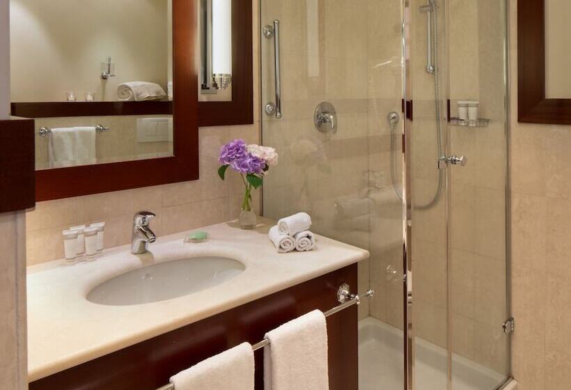 اتاق لوکس, Starhotels Excelsior