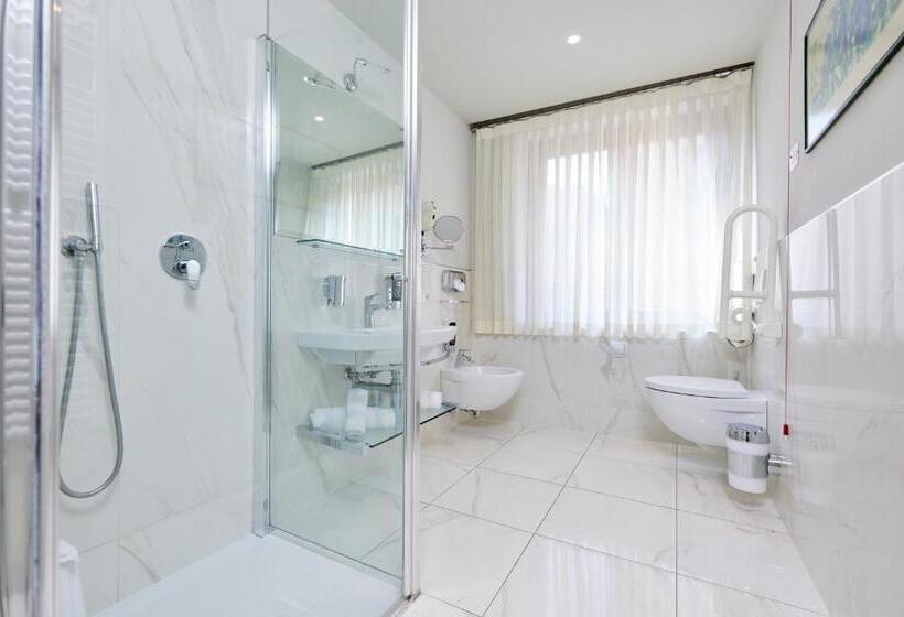 高级小型套房, Lake Front Hotel Brenzone