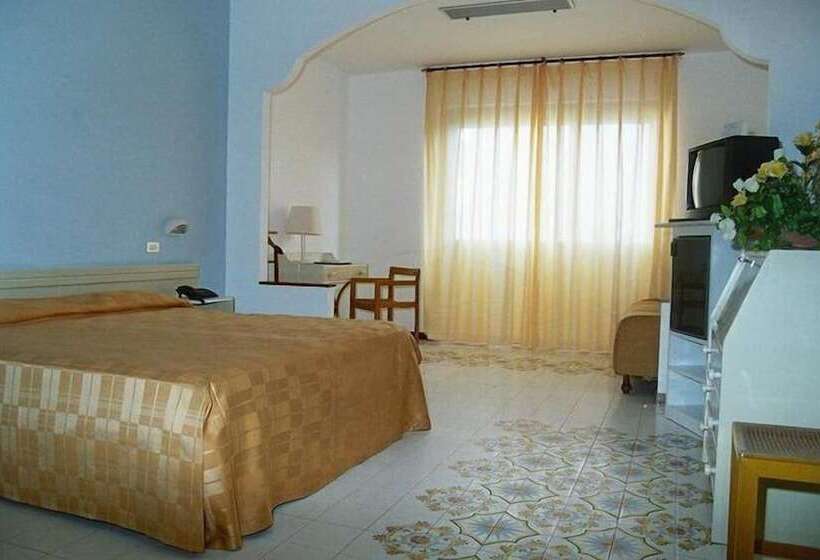 غرفة قياسية, Grand Hotel Don Juan