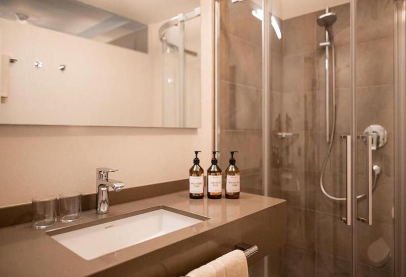 스탠다드 발코니 룸, Pollinger