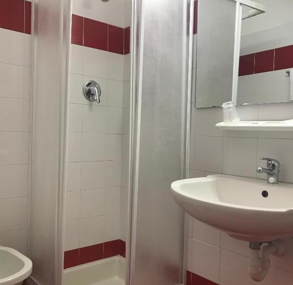 חדר סטנדרט לשלושה, Robinia