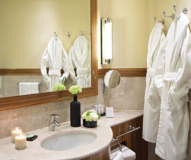 Номер Deluxe, Starhotels Anderson