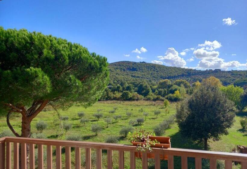 Трехместный Номер Стандарт с Балконом, Torricella