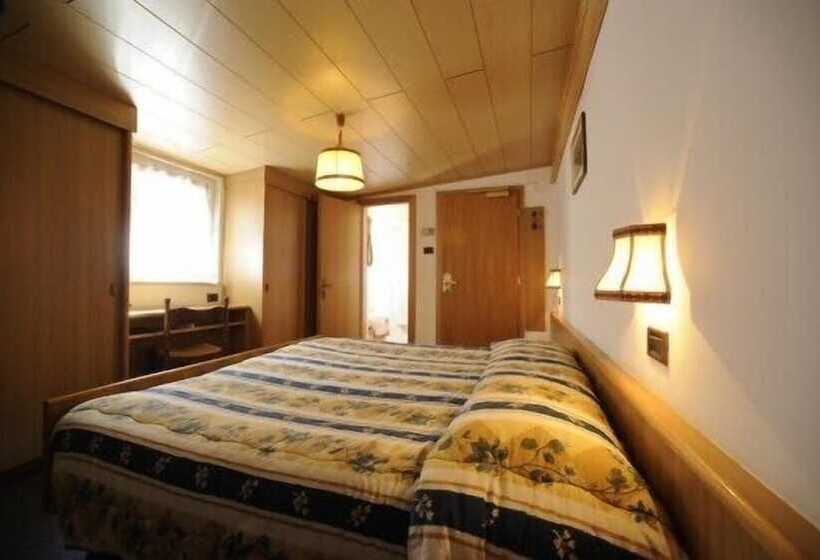 Номер Стандарт, Arnika