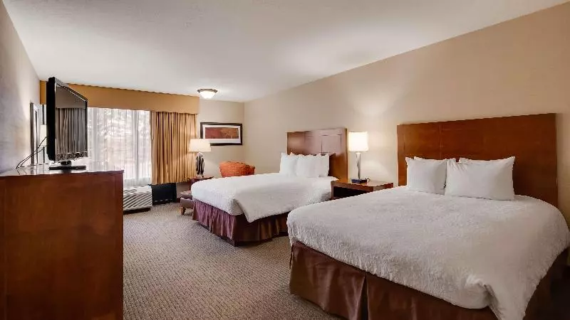 اتاق استاندارد یک نفره, Best Western Plus Hotel Universo
