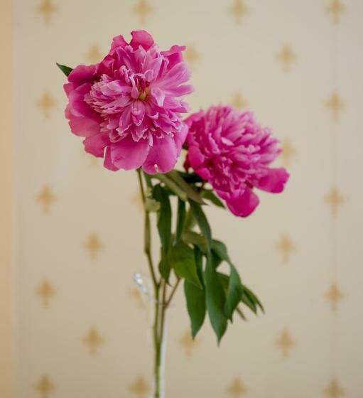 اتاق اکونومی, Imperiale By Omnia Hotels