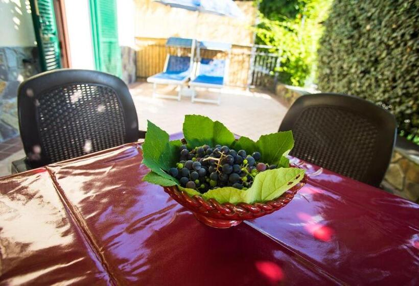 带1个卧室的公寓, Lago Bin