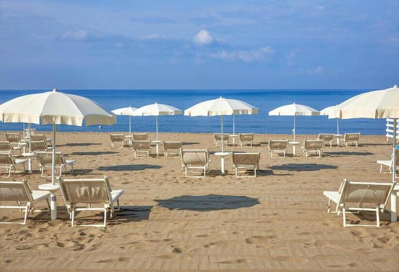 デラックスルーム, Schuhmann