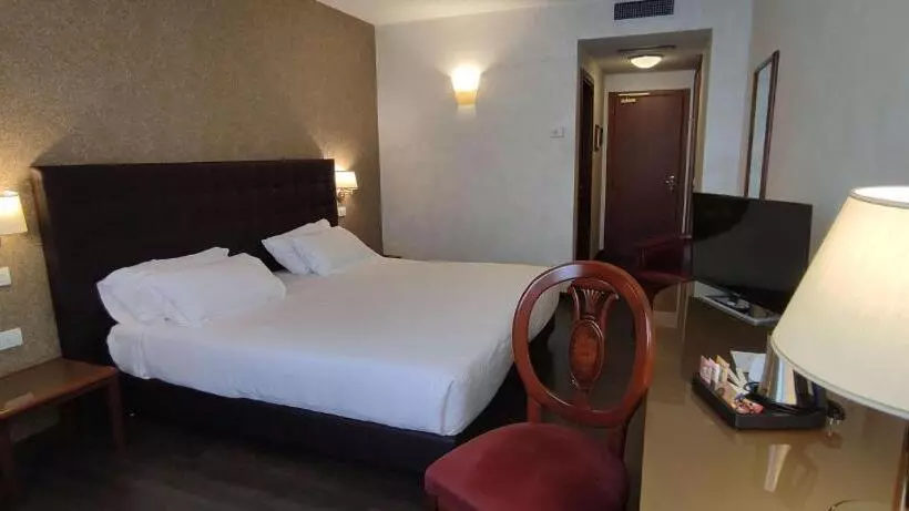 اتاق سوپریور با تخت بزرگ, Best Western Park Hotel Continental