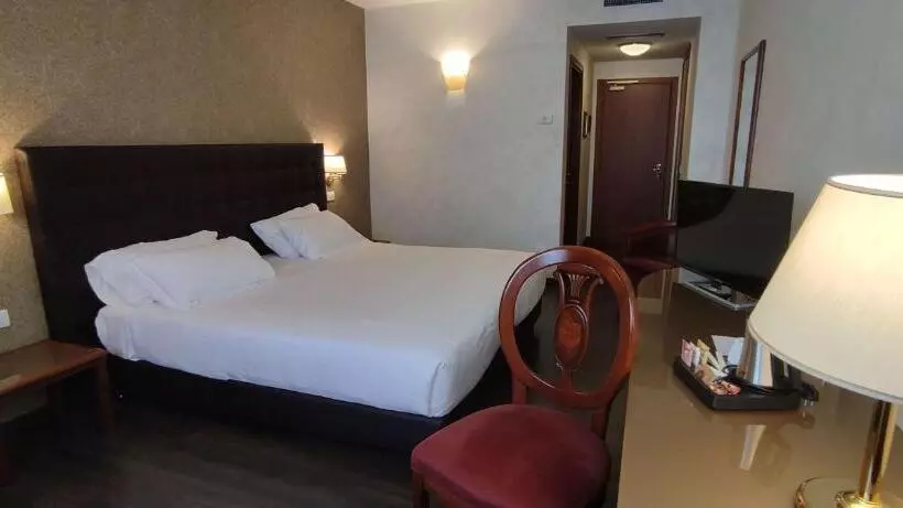 اتاق سوپریور با تخت بزرگ, Best Western Park Hotel Continental