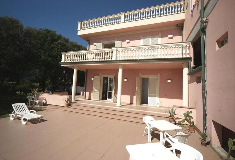 شقة غرفة واحدة مزودة بتراس, Happy