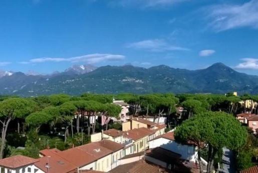 شقة غرفة نوم واحدة مطلة علي البحر مزوَّدة بشُرفة, Happy