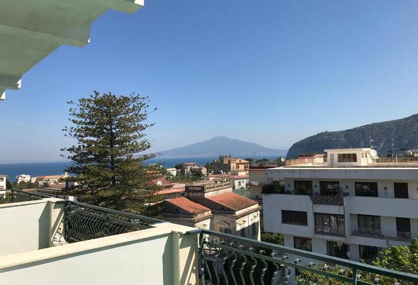 高级大房间, Majestic Palace