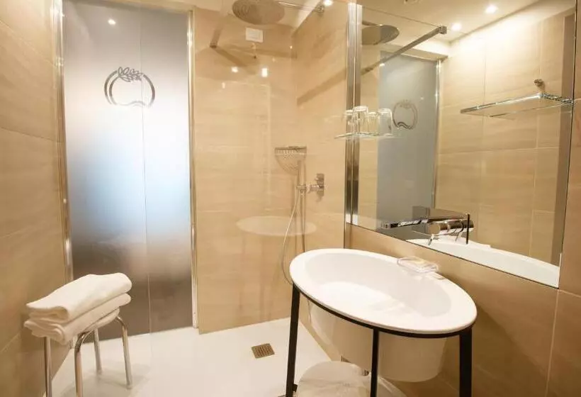 Superior room with lake view, Olivi Hotel & Natural Spa