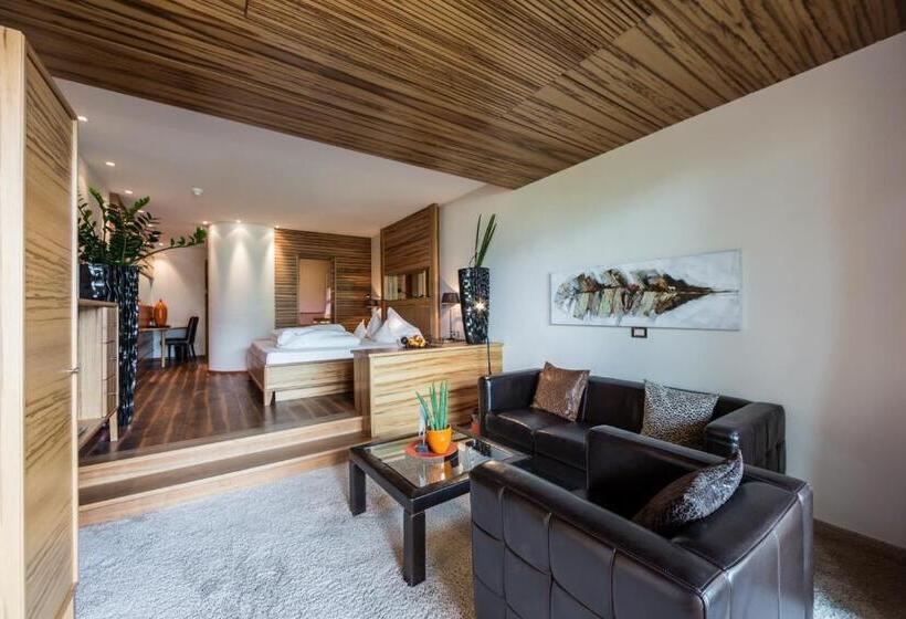 Номер Стандарт с Террасой, Spa & Relax Hotel Erika