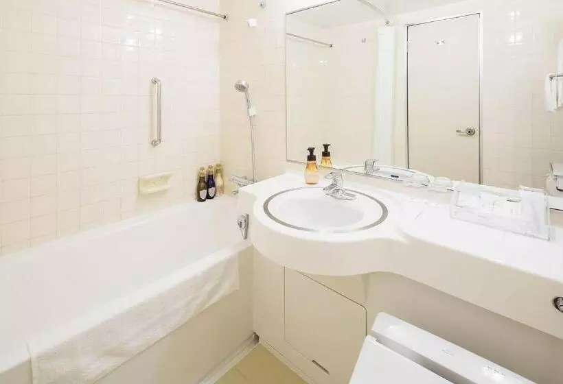 اتاق سوپریور با چشم‌انداز دریا, Art Hotel Ishigakijima