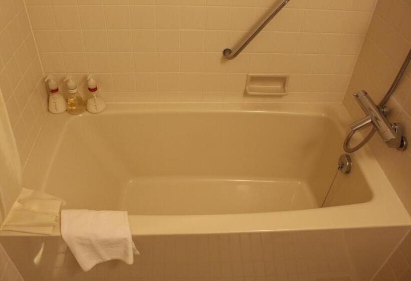 חדר משפחתי דלוקס, Minakami Kogen Hotel 200