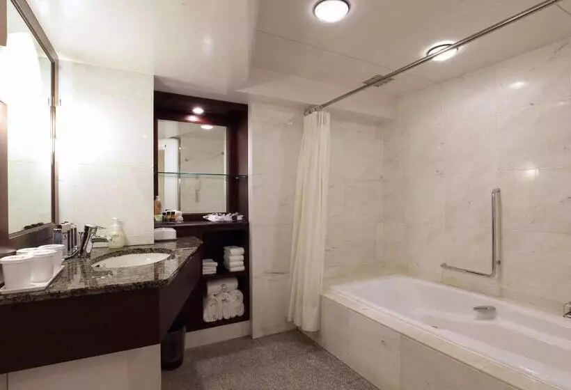 Deluxe Kolmen Hengen Huone, Nishitetsu Grand
