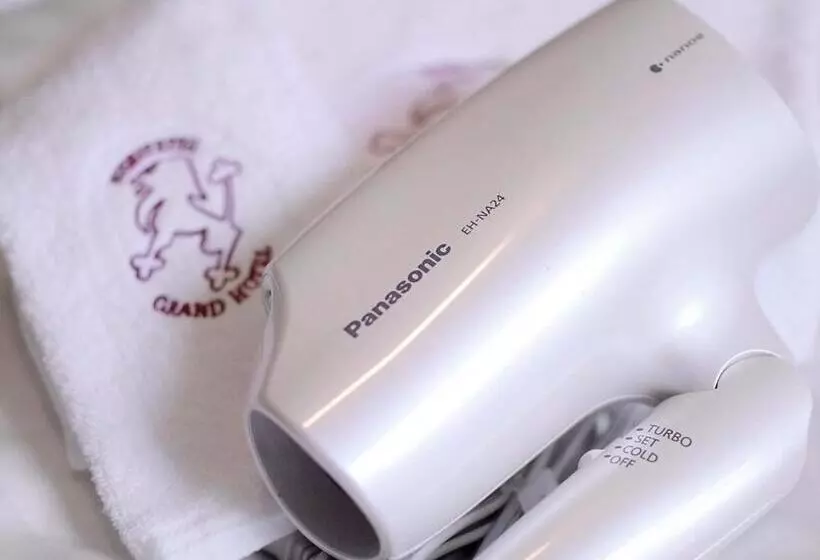 Deluxe Kolmen Hengen Huone, Nishitetsu Grand