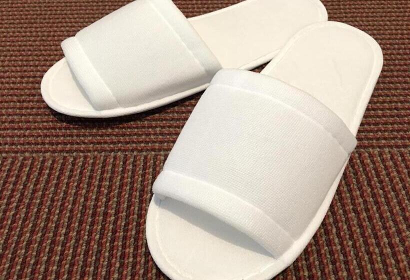 スタンダードルーム, Osaka Castle