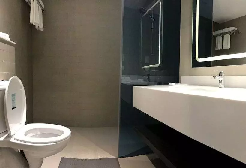 デラックスルーム, Park Inn By Radisson,south Delhi