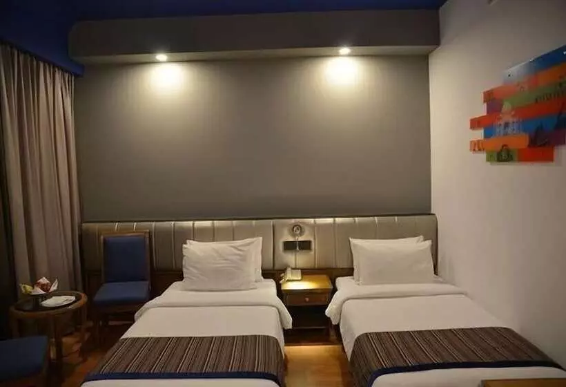 デラックスルーム, Park Inn By Radisson,south Delhi