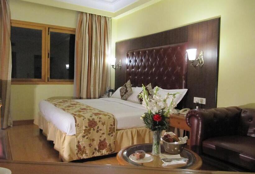 اتاق سوپریور, Ritz Plaza