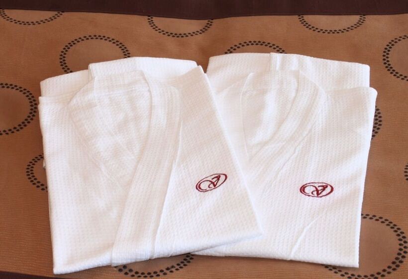 غرفة قياسية مطلة على المدينة, Asakusa View