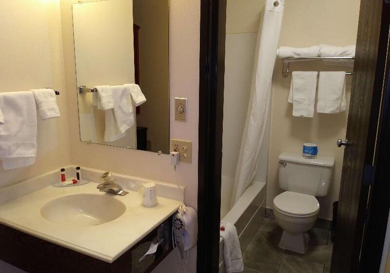 סוויטת ג'וניור, Loisir Hotel Toyohashi