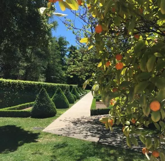 اتاق استاندارد, Mondorf Parc Hotel & Spa