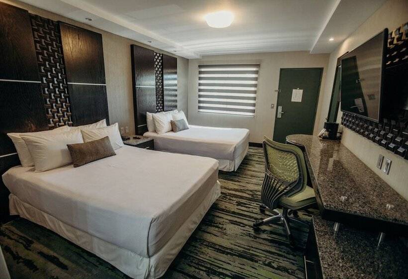 חדר סופריור, Calafia