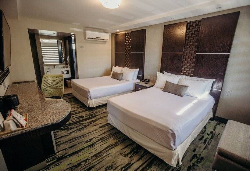 חדר סופריור, Calafia