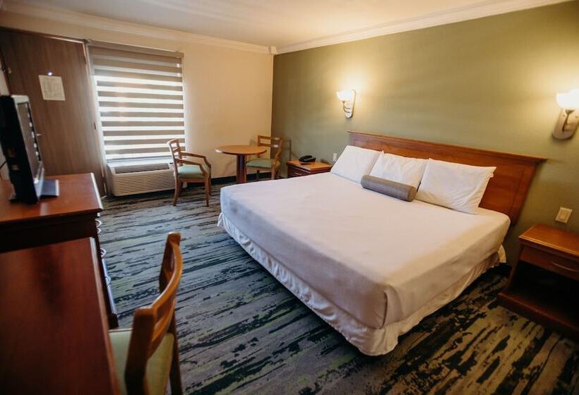 חדר סטנדרט, Calafia