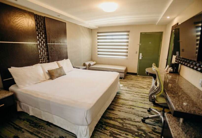 חדר סופריור, Calafia