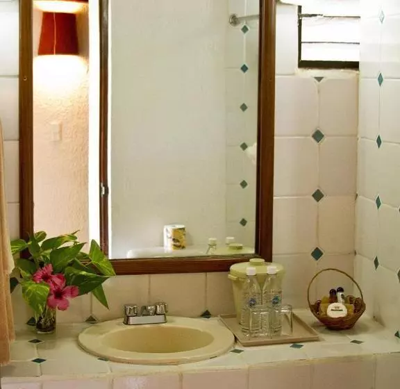 اتاق عادی, Casa Del Mar Cozumel Hotel & Dive Resort