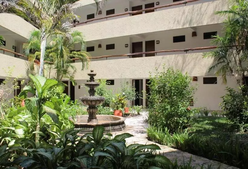 اتاق عادی, Casa Del Mar Cozumel Hotel & Dive Resort