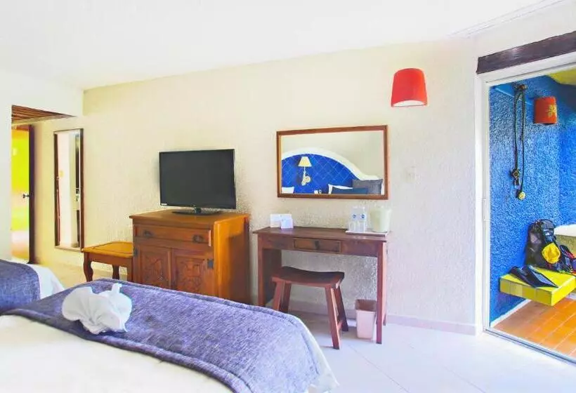 اتاق سوپریور با چشمانداز باغ, Casa Del Mar Cozumel Hotel & Dive Resort